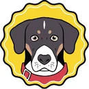 Unknown Brutus Bone Broth available at Odyssey Pets in Dallas, Texas