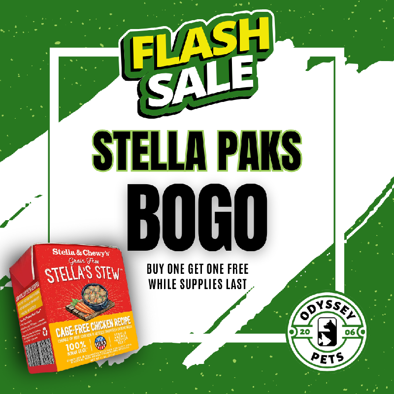 Promotion Image