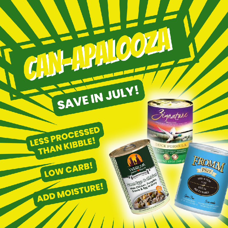 Promotion Image