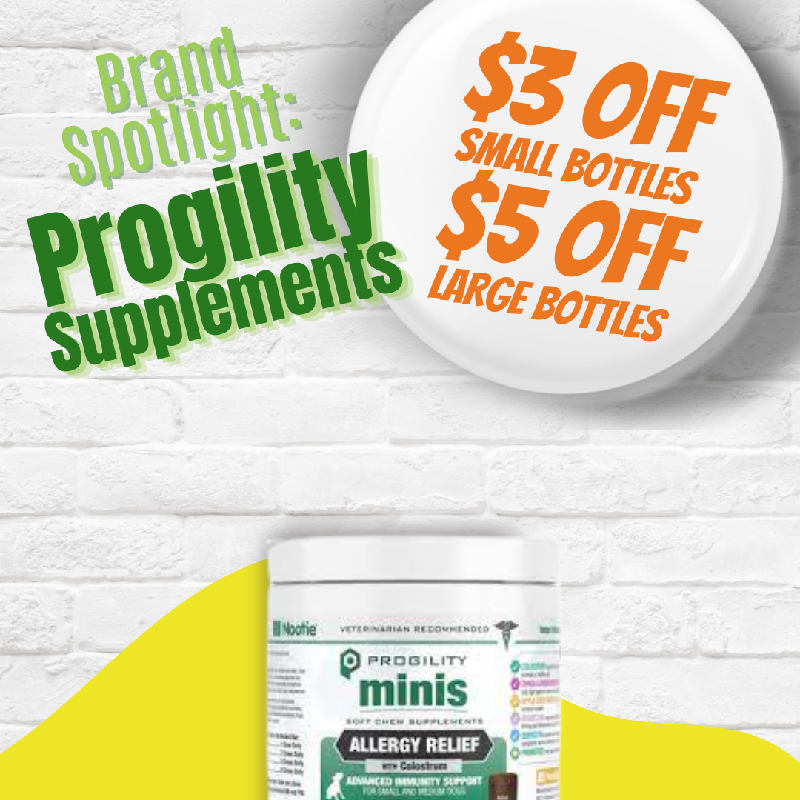 Promotion Image