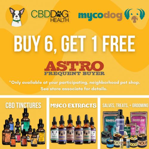 Promotion Image