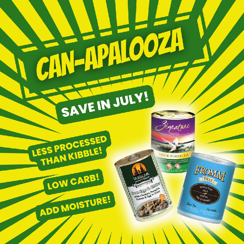 Promotion Image
