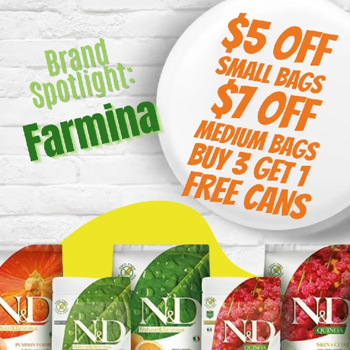 Promotion Image