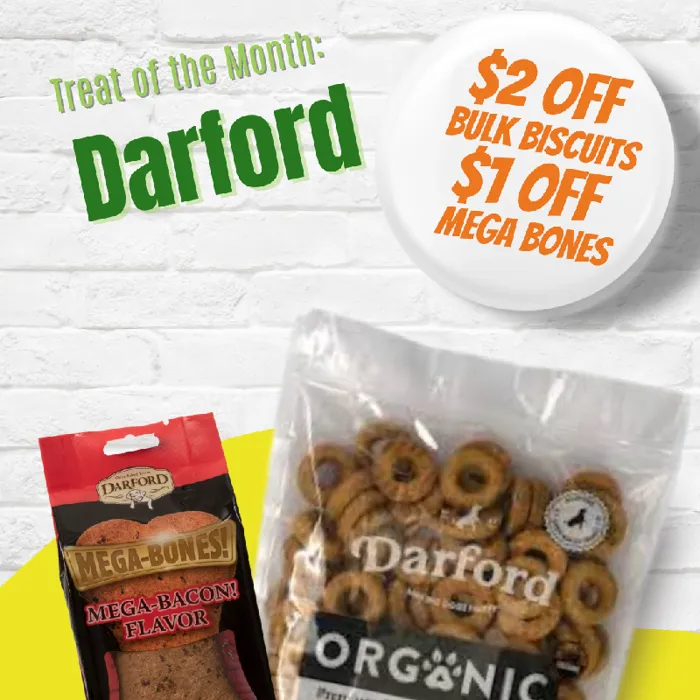 Promotion Image