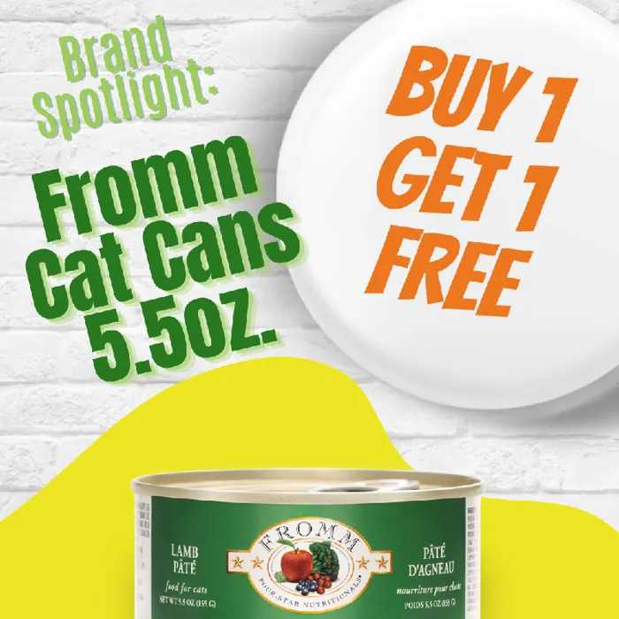 Promotion Image