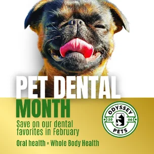10% OFF Dental Prod…