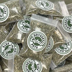 Odyssey Catnip 2 fo…